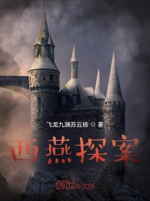 《西燕探案》封面