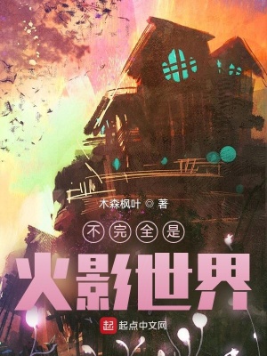 《不完全是火影世界》封面