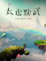 秦政踏入太虚裂缝