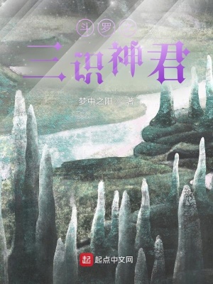 《斗罗之三识神君》封面