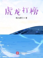 虎龙打榜3