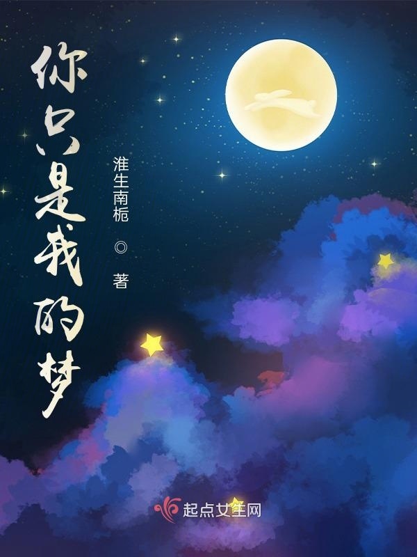 你只是我的梦小说封面