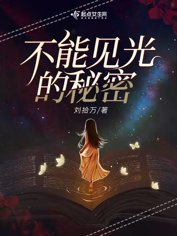 不能见光的秘密小说封面