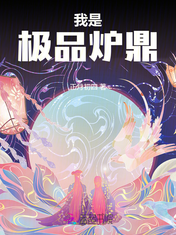 我是极品炉鼎小说封面