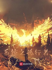 《系统之孤行者》全文在线阅读_最新章节无删减_完结免费无弹窗 - 红袖读书