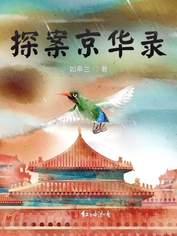 探案京华录小说封面