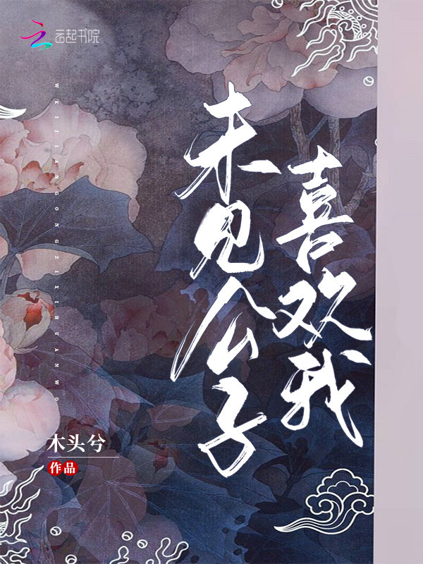 未见公子喜欢我小说封面