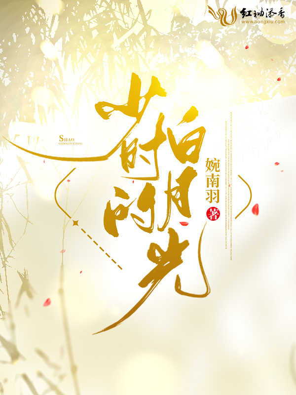 少时的白月光小说封面