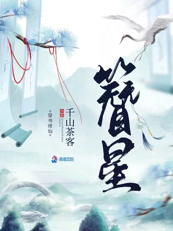 簪星小说封面