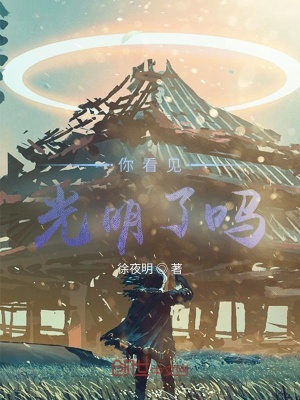 《你看见光明了吗？》封面
