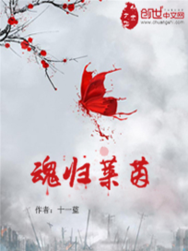 魂归莱茵小说封面