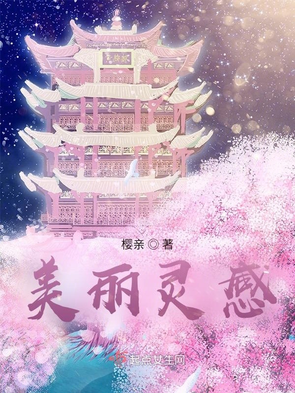 美丽灵感小说封面