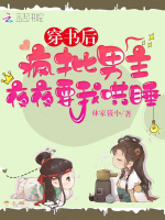 穿书后，疯批男主夜夜要我哄睡