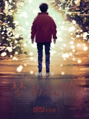 《梦的探险》封面