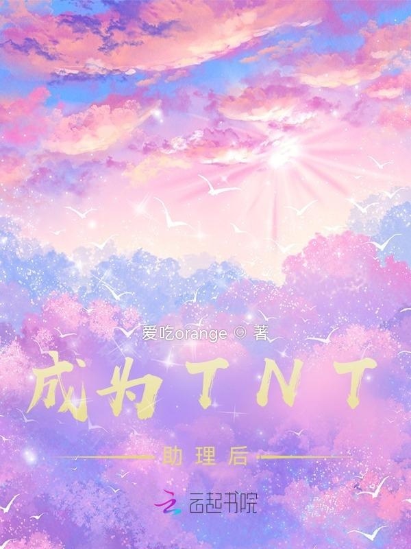 成为TNT助理后小说封面