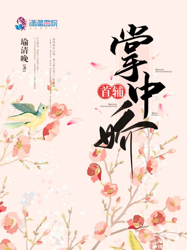 首辅掌中娇小说封面