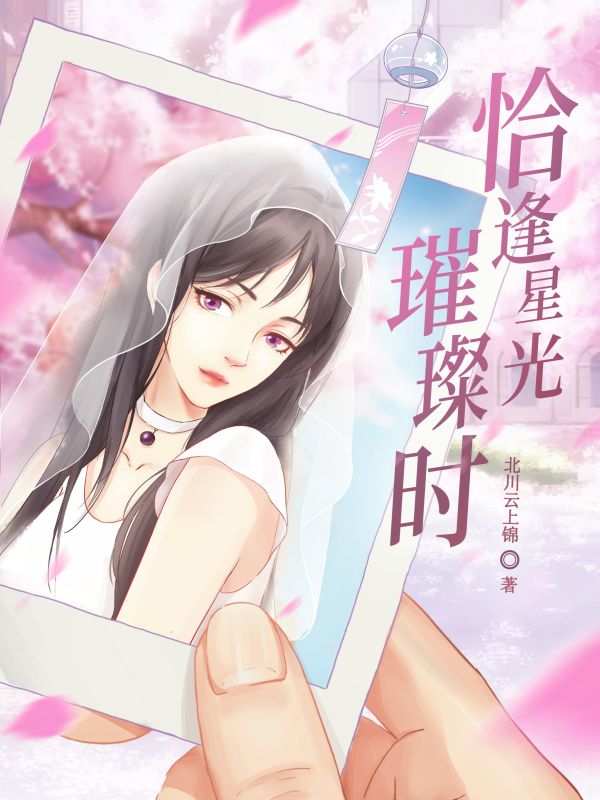 恰逢星光璀璨时小说封面