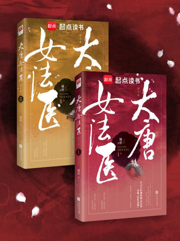 大唐女法医小说封面