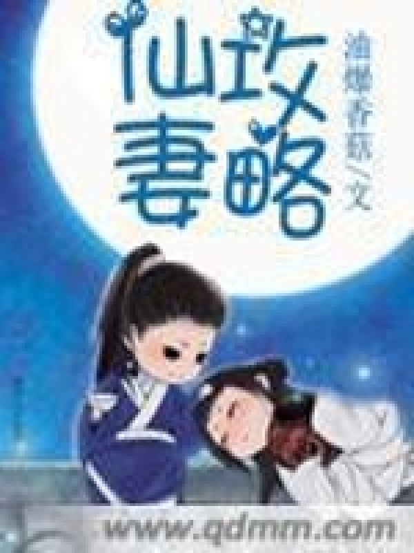 仙妻攻略小说封面