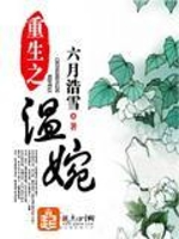 重生之温婉小说封面