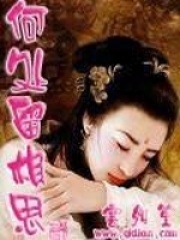 《何处留相思》封面