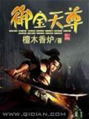 《御宝天尊》封面
