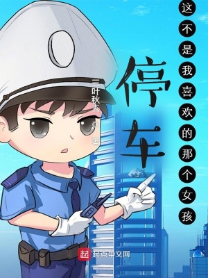 《停车！这不是我喜欢的那个女孩》封面