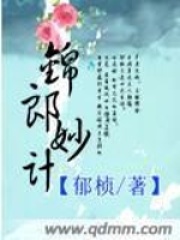 《宋代讼师》封面