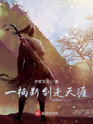 《明月夜光记之断剑江湖》封面