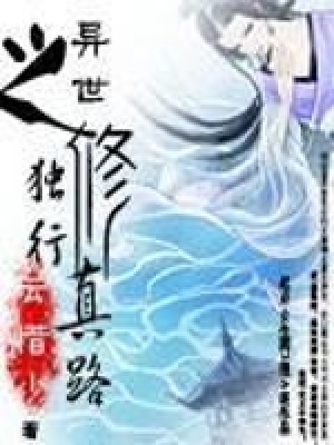 《异世之独行修真路》封面