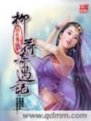 《柳荷奇遇记》封面