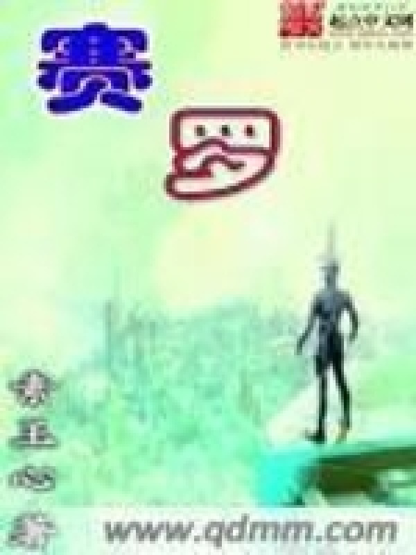 赛罗小说封面
