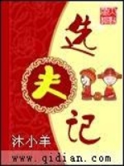 《选夫记》封面