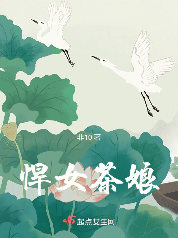 悍女茶娘小说封面