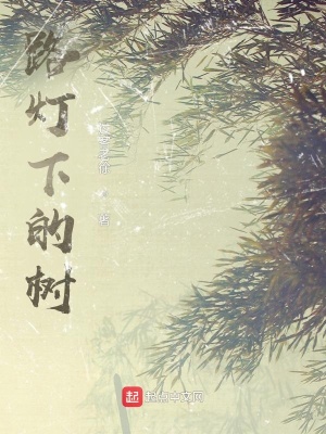 《路灯下的树》封面