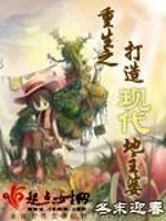 重生之打造现代地主婆