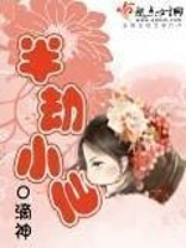 半劫小仙小说封面