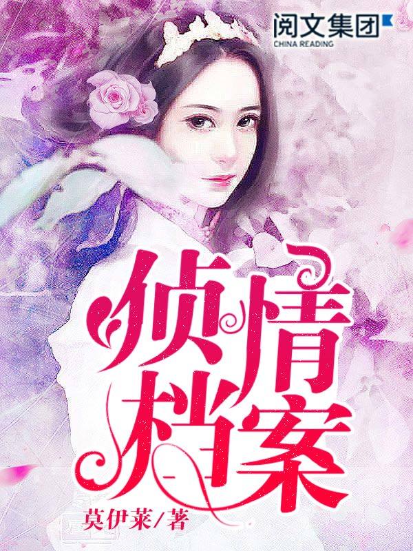 侦情档案小说封面