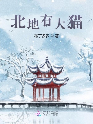 《北地有大猫》封面