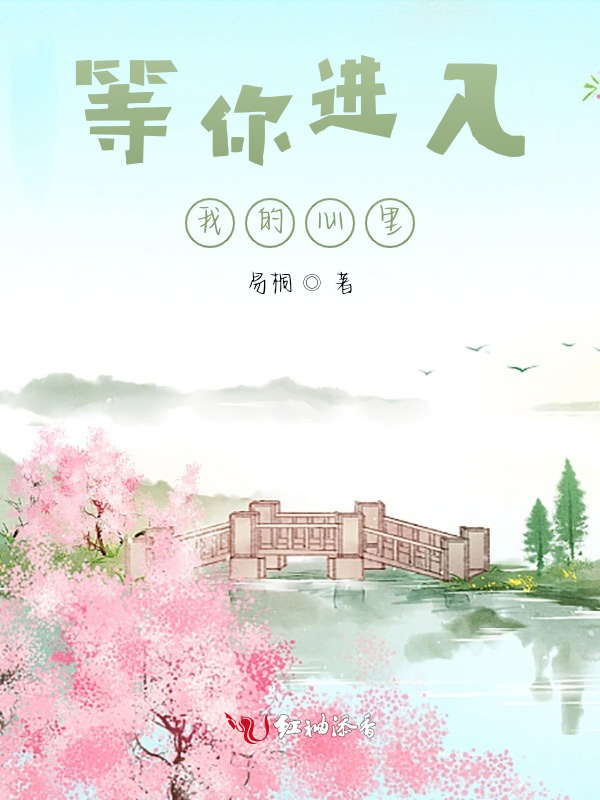 等你进入我的心里小说封面