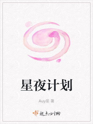 《星夜计划》封面