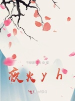 夜火yh