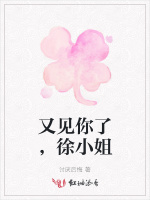 又见你了，徐小姐