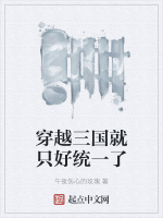 穿越三国就只好统一了