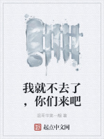 我就不去了，你们来吧