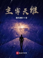 主宰天维