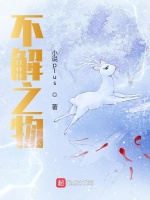 不解之物