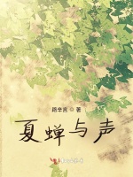 夏蝉与声