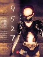 战甲9527