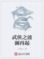 武侠之波澜再起